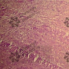 ����� 1% ������ �������