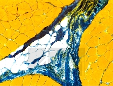 ���������� ����� / ��������� G �� ����������