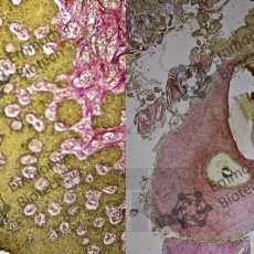 ���-�����