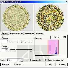   IMAGESCOPE S