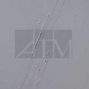 ����������� �������� �����, ���������������-����������������� ��������